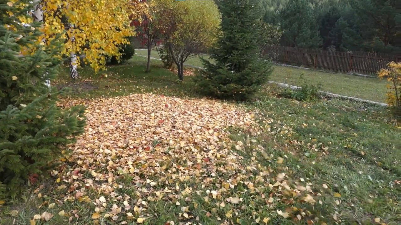 https://stavropol.mslandshaft.ru/storage/app/uploads/public/642/ac5/f22/642ac5f2293e2935715739.jpg